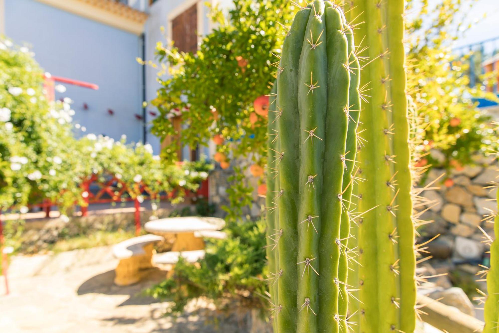 Casa Levante - Cuatro Vientos Moratalla (Murcia)